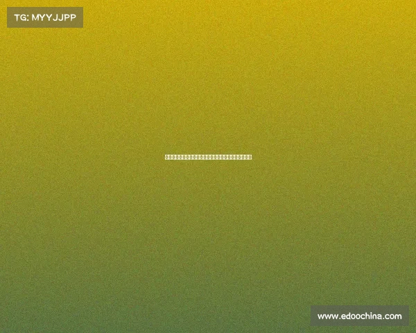 西甲球队战术分析：从进攻流畅到防守坚固的多维度解读